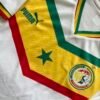 Camiseta Senegal Titular 2022-2023